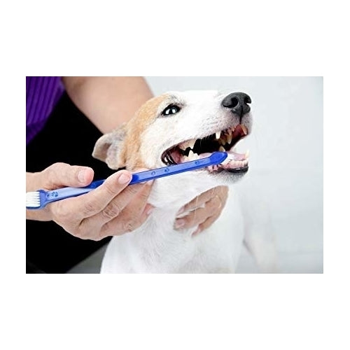 4 Pack Dukes Pet Products Dog Toothbrush Set Double Sided Canine Dental Hygiene Brushes Image 1