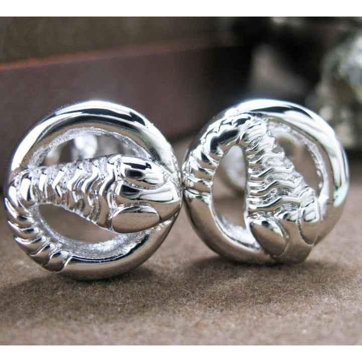 Lucky Coil Snake Cufflinks Silver Straight Post Double Ended Harry Potter Hogwarts Gryffindor Slytherin Ravenclaw Image 2