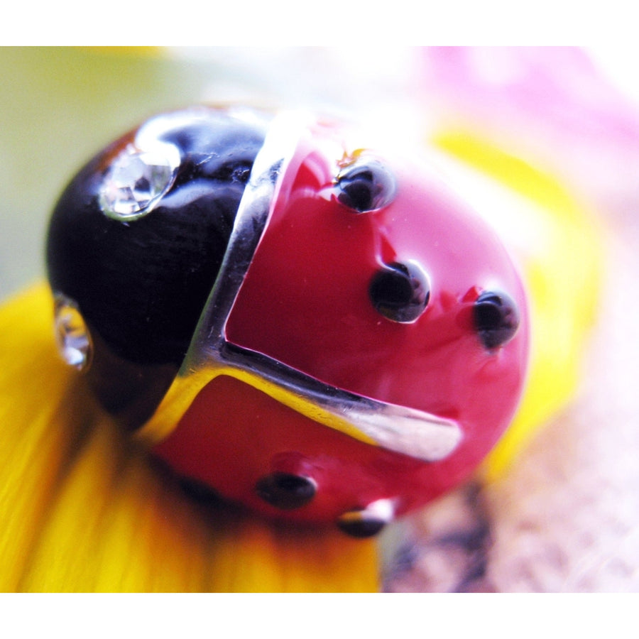 Silver Red Black Lady Bug with Crystal Eyes Cufflinks Ladybug Cuff Links Image 1