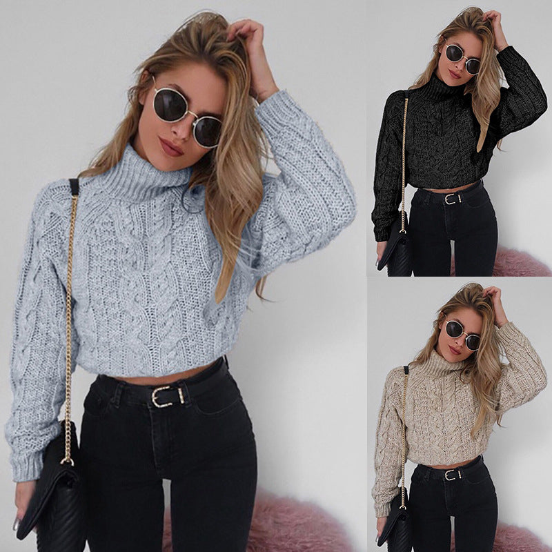 Womens Short Turtleneck Sweater Image 1