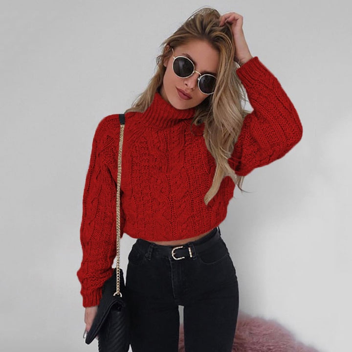 Womens Short Turtleneck Sweater Image 1