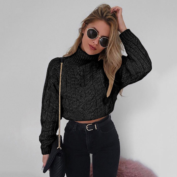 Womens Short Turtleneck Sweater Image 1