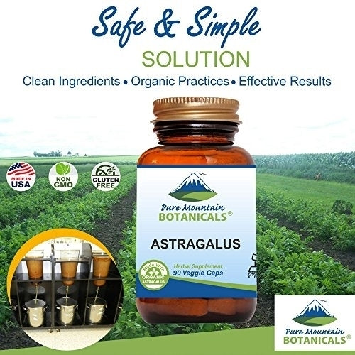 Astragalus Root Capsules - 90 Kosher Vegan Caps with 470mg Organic Astragalus Image 4