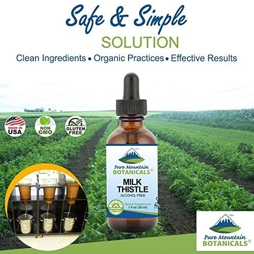 Milk Thistle Capsules - 90 Kosher Vegan Caps with Organic Milk Thistles and Potent Silymarin Extract Image 2