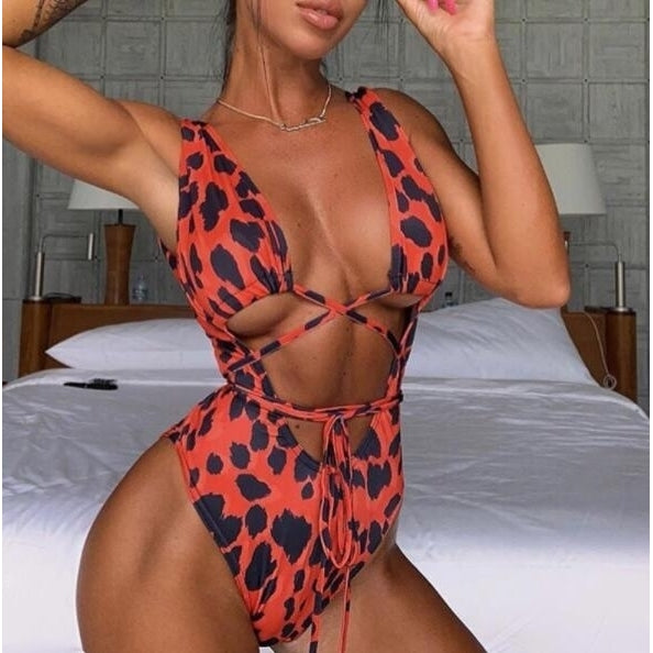 Leopard Plunge Neck One Piece Swimsuit Image 2