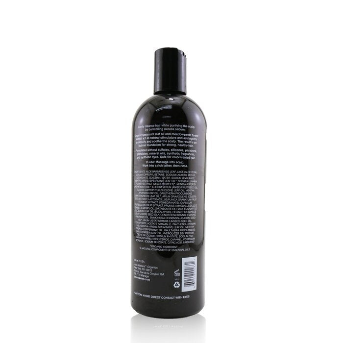 Scalp Stimulating Shampoo with Spearmint and Meadowsweet - 473ml/16oz Image 2