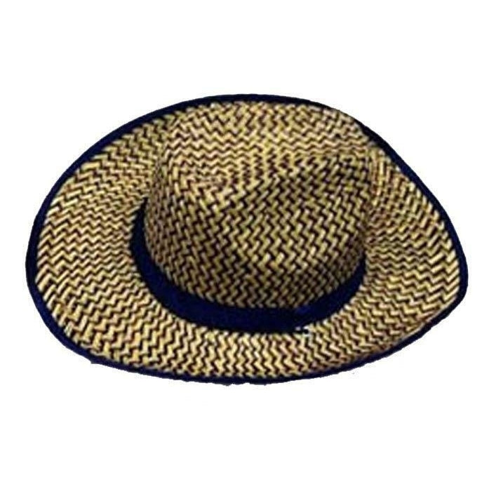 BLUE ZIG ZAG COWBOY HAT 111 western rodeo ranch hats womens mens caps STRAW Image 1