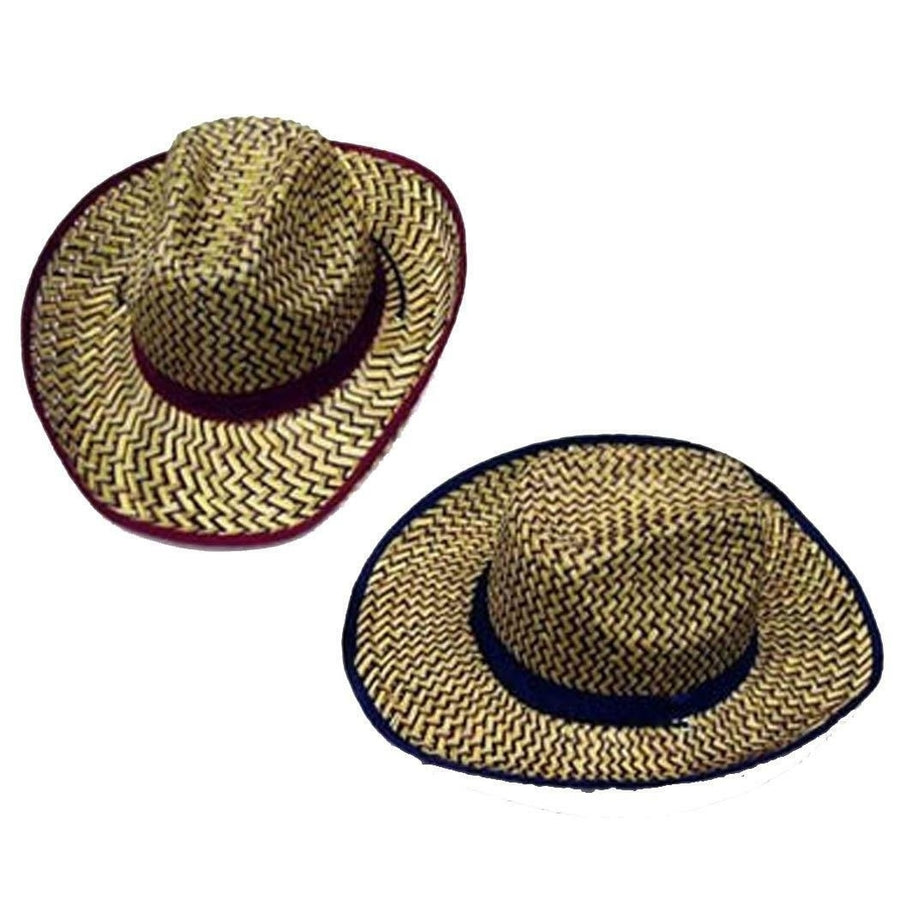 12 COLORED ZIG ZAG STRAW COWBOY HAT 111 wholesale bulk lot unisex western hats Image 1