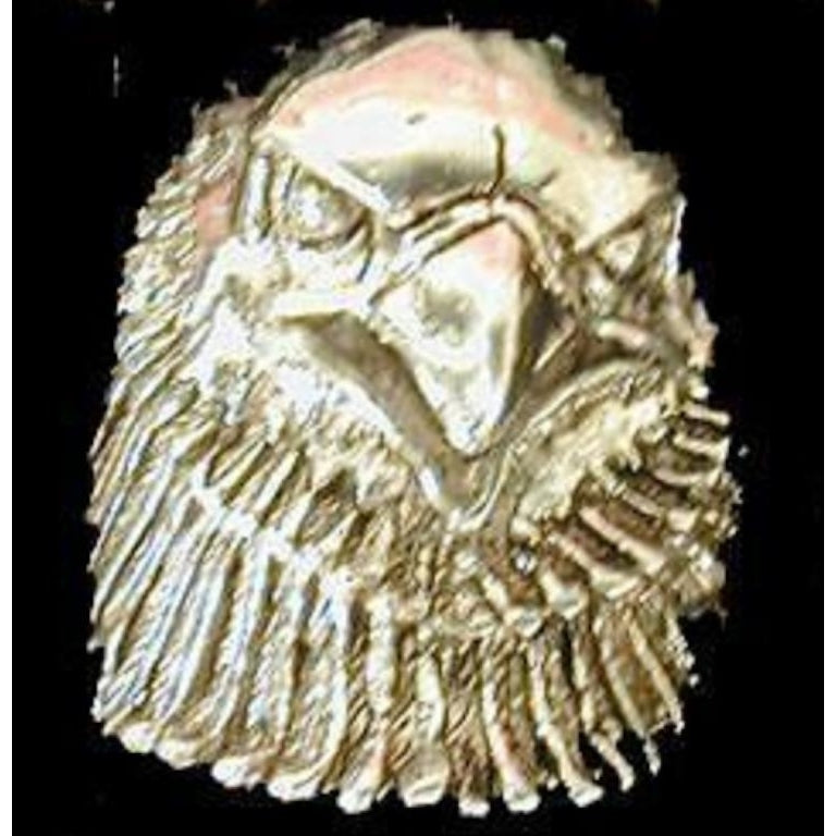 DELUXE LARGE LOOKING EAGLE HEAD SILVER BIKER RING BR175 mens RINGS  jewelry Image 1