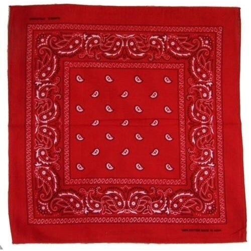 12 pack ASSORTED COLORS PAISLEY BANDANA wholesale pasiley colored bandanas Image 2