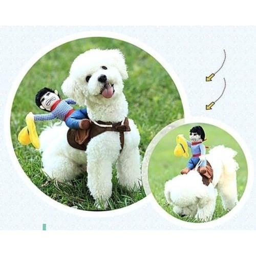 Riding Cowboy Funny Novelty Halloween Dog Costume For Small Dogs gag gift cute Image 1