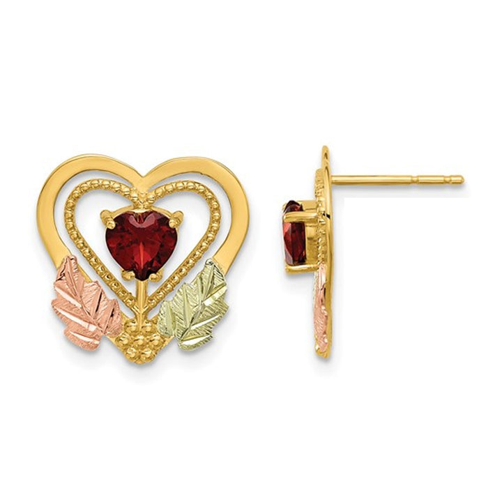 1/2 Carat (ctw) Garnet Heart Earrings in 10K Yellow Gold with Chain Image 1