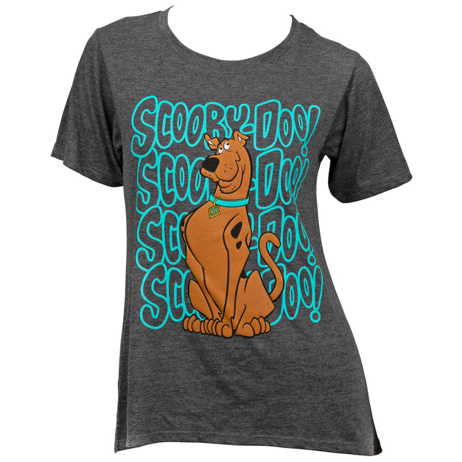 Scooby-Doo Character with Logo Print Womens T-Shirt Image 1