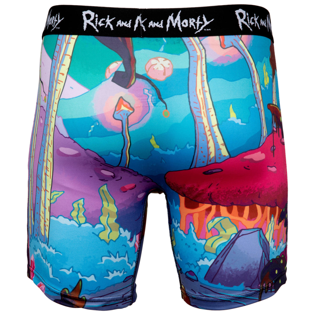Rick and Morty Chased Out Of Portal Boxer Briefs Image 2