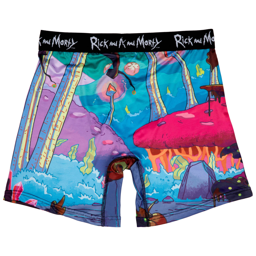 Rick and Morty Chased Out Of Portal Boxer Briefs Image 4