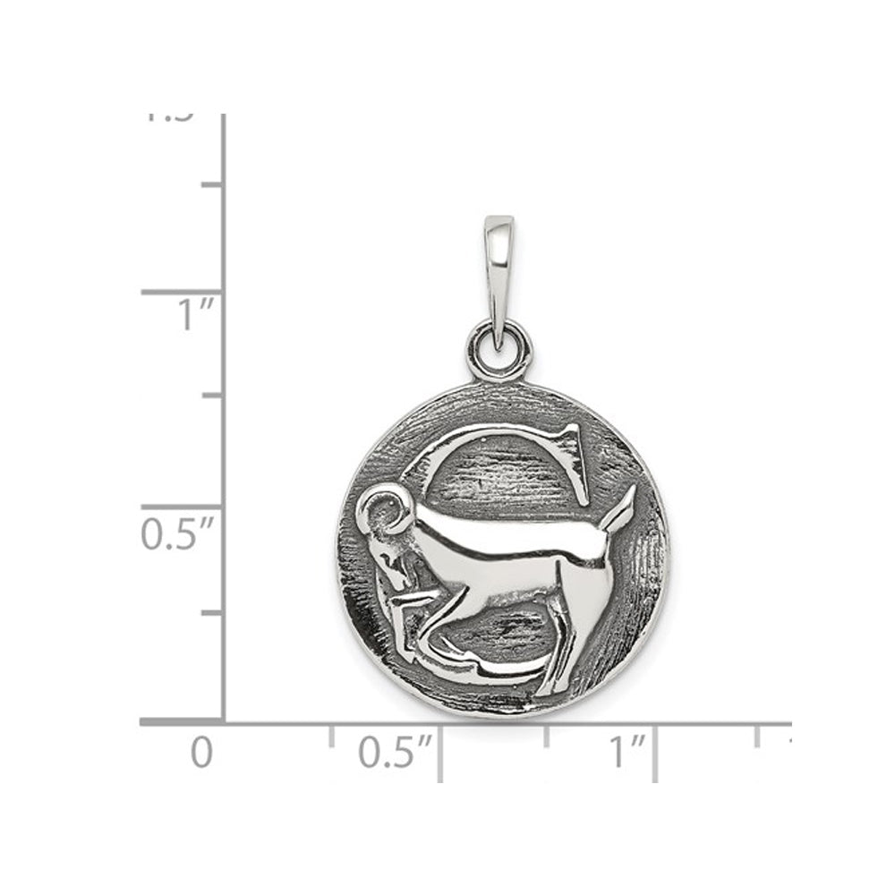 Sterling Silver CAPRICORN Charm Astrology Zodiac Pendant Necklace with Antique Finish and Chain Image 3