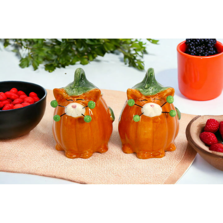 Ceramic Pumpkin Cat Salt and Pepper Shakers Fall Halloween Gift Image 2