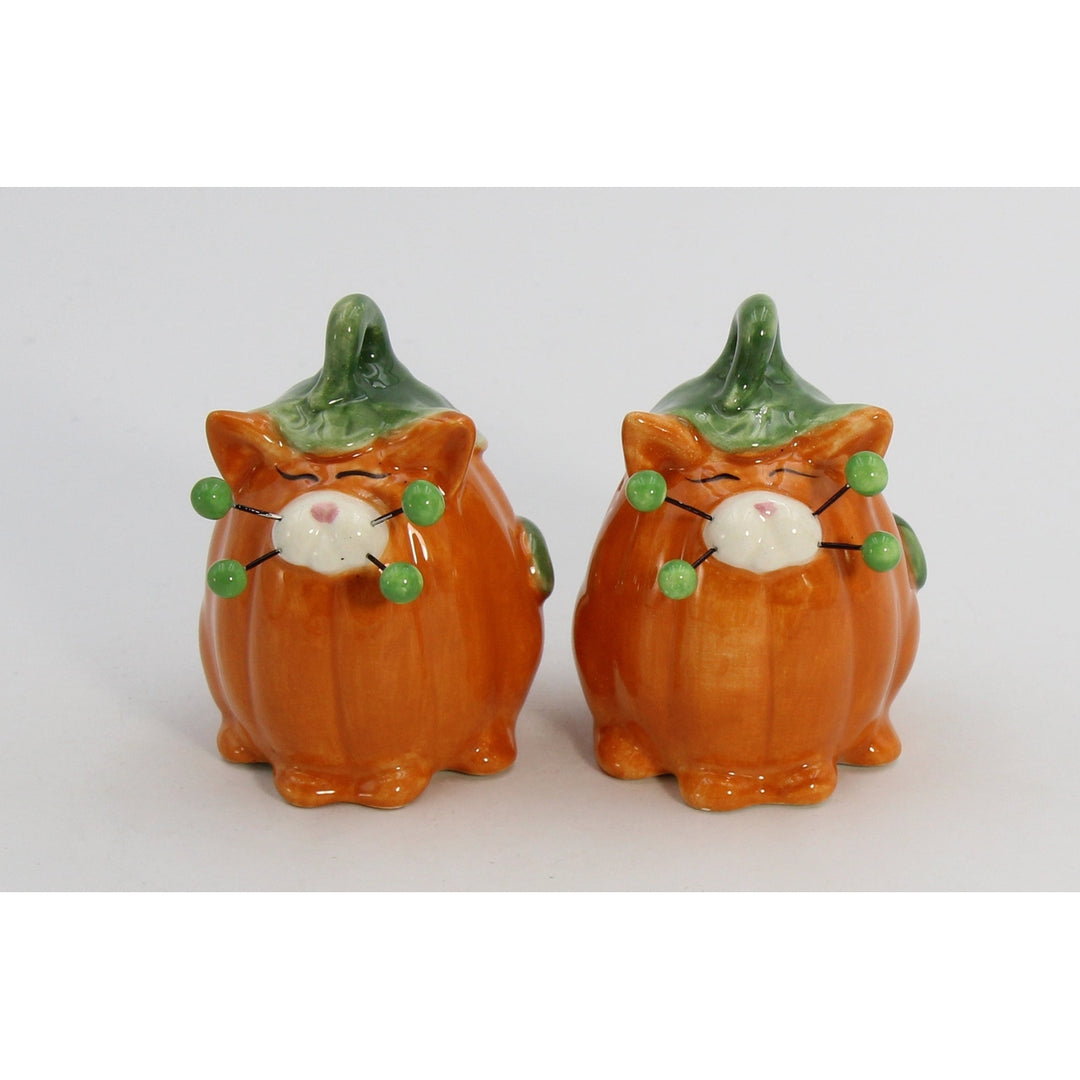 Ceramic Pumpkin Cat Salt and Pepper Shakers Fall Halloween Gift Image 3