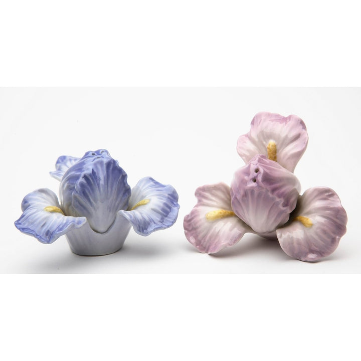 Ceramic Iris Lilac Flower Salt and Pepper Shakers 3.25 inches Gift Image 3