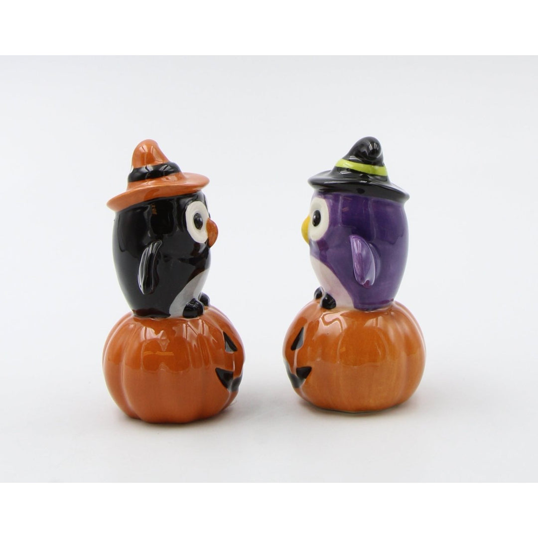 Ceramic Halloween Owl Witches Salt and Pepper Shakers Image 4