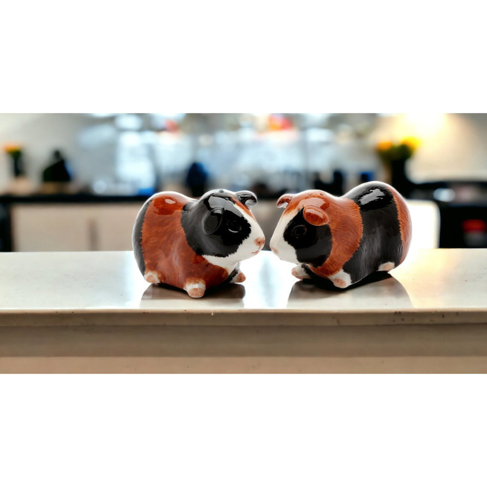 Hand Painted Ceramic Guinea Pig Salt and Pepper Shakers Image 2