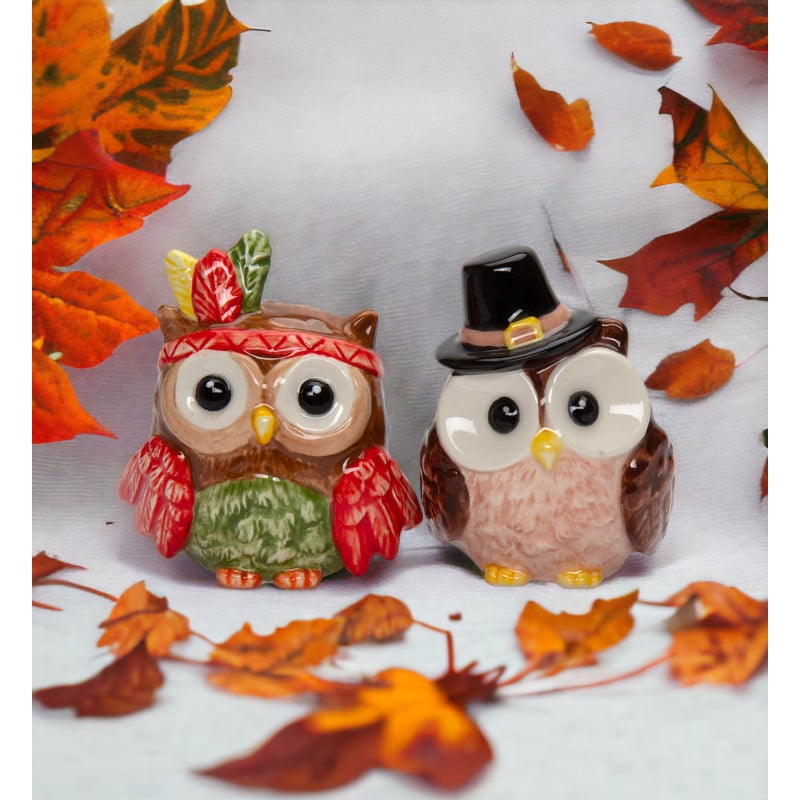 Ceramic Owl Salt and Pepper Shakers Pilgrim Indian Gift Image 1