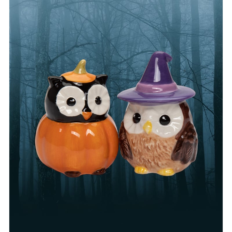 Ceramic Witch Owl Pumpkin Owl Salt and Pepper Shakers Fall Image 1