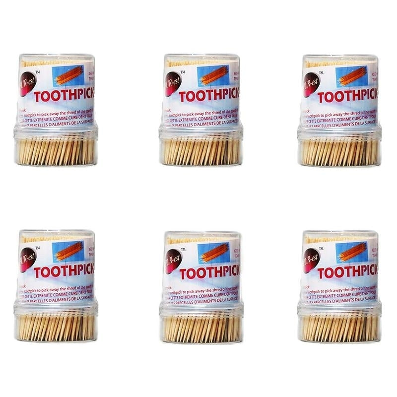 Toothpick 500 In 1 Pack (Pack of 6) By Purest Image 1