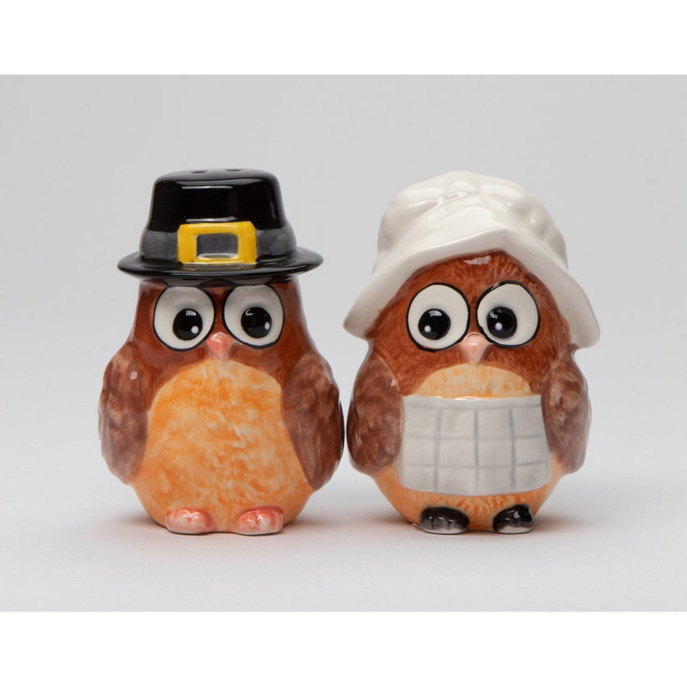 Ceramic Pilgrim Owl Salt and Pepper Shakers Fall Image 2