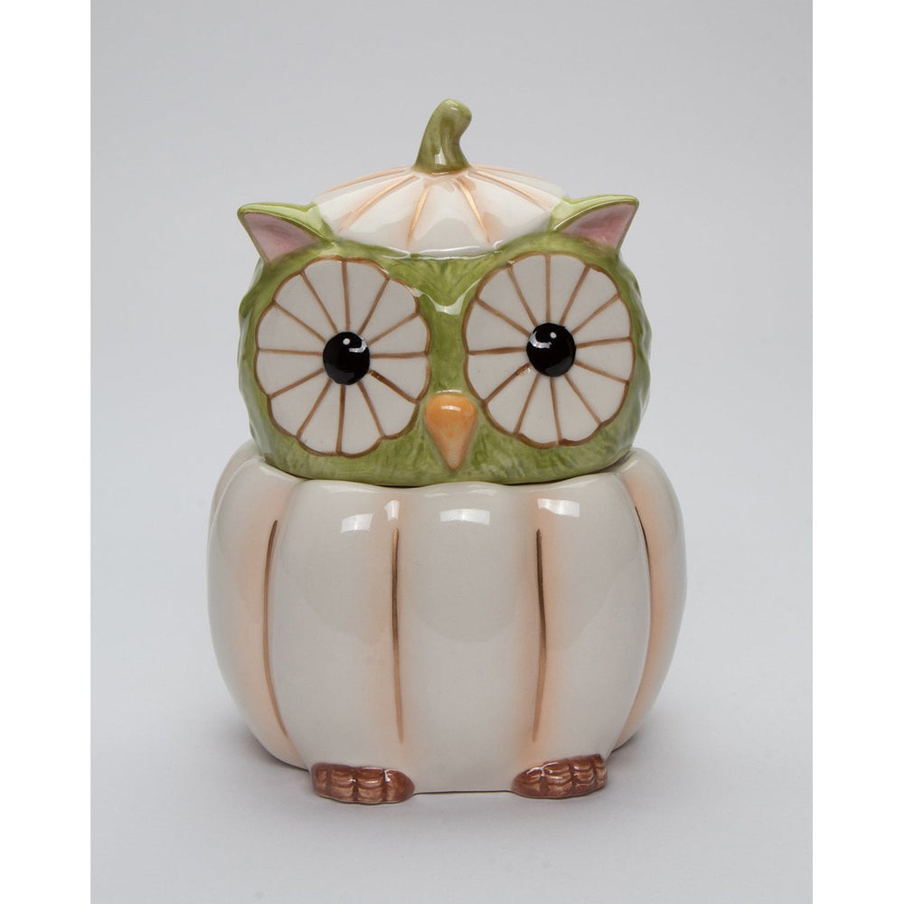 Ceramic White Pumpkin Owl Candy Jar 5x4.5x6.75 Fall Halloween Gift Image 2