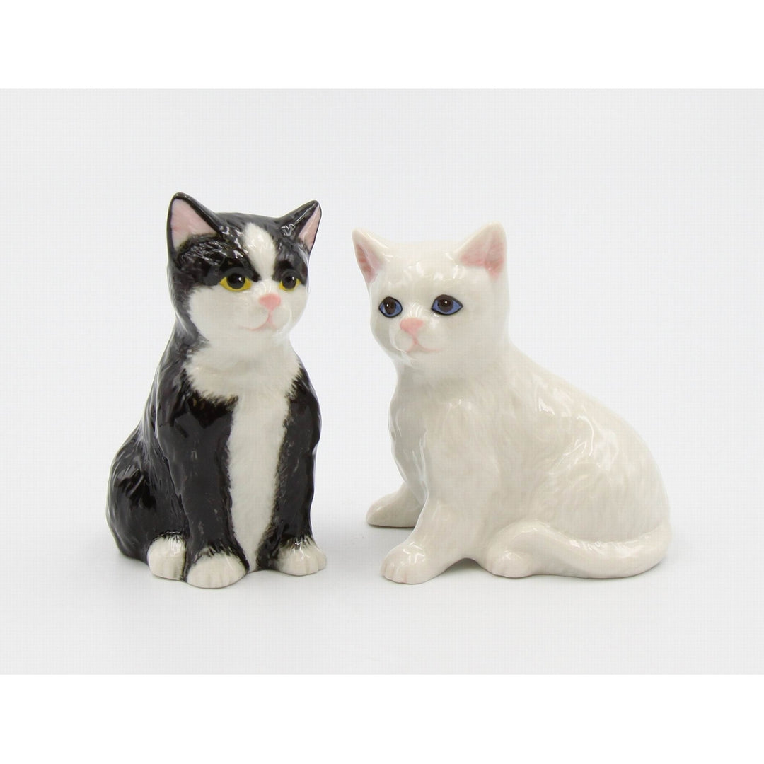 Ceramic Cat Salt and Pepper Shaker Set Black and White Gift for Cat Image 3