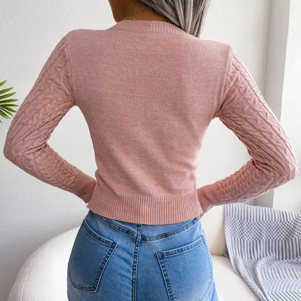 Hollow Twist Knit Sweater Casual Solid Crew Neck Slim Long Sleeve Bottoming Fall Winter Sweater Womens Clothing Image 2