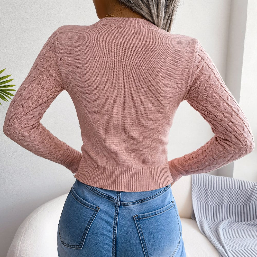 Hollow Twist Knit Sweater Casual Solid Crew Neck Slim Long Sleeve Bottoming Fall Winter Sweater Womens Clothing Image 1
