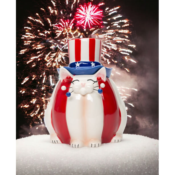 Ceramic American Cat Candy Box 6.5 Inch Patriot Decor Kitchen Gift for Cat Image 2