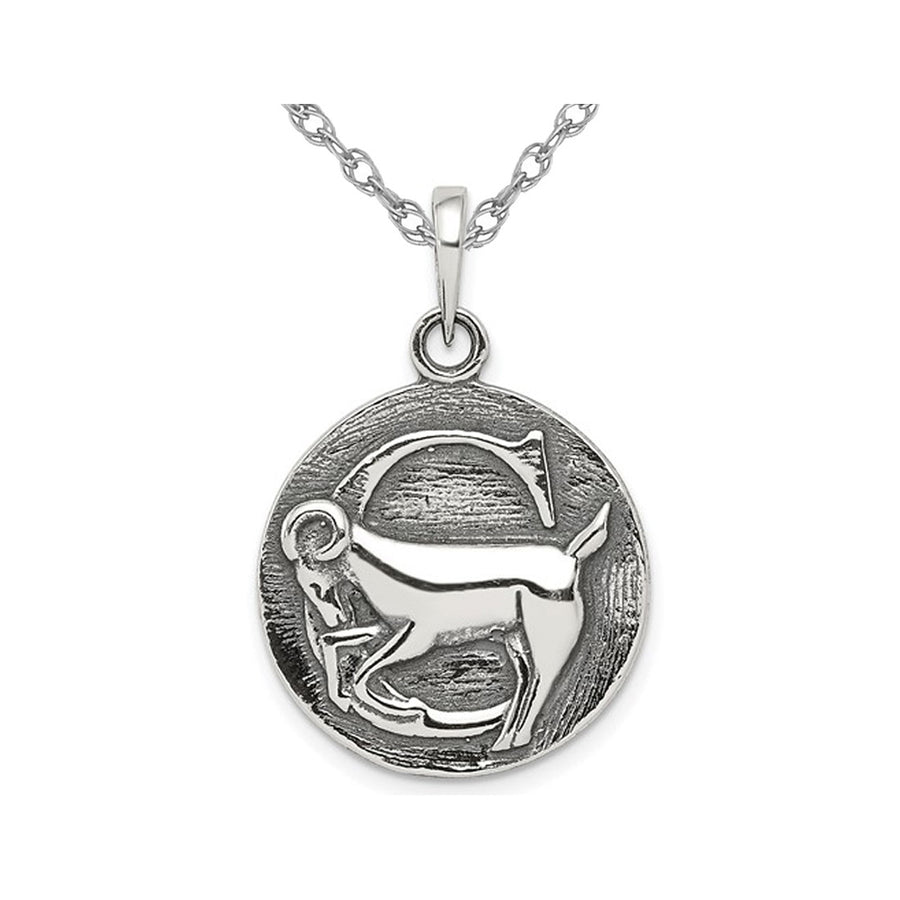 Sterling Silver CAPRICORN Charm Astrology Zodiac Pendant Necklace with Antique Finish and Chain Image 1