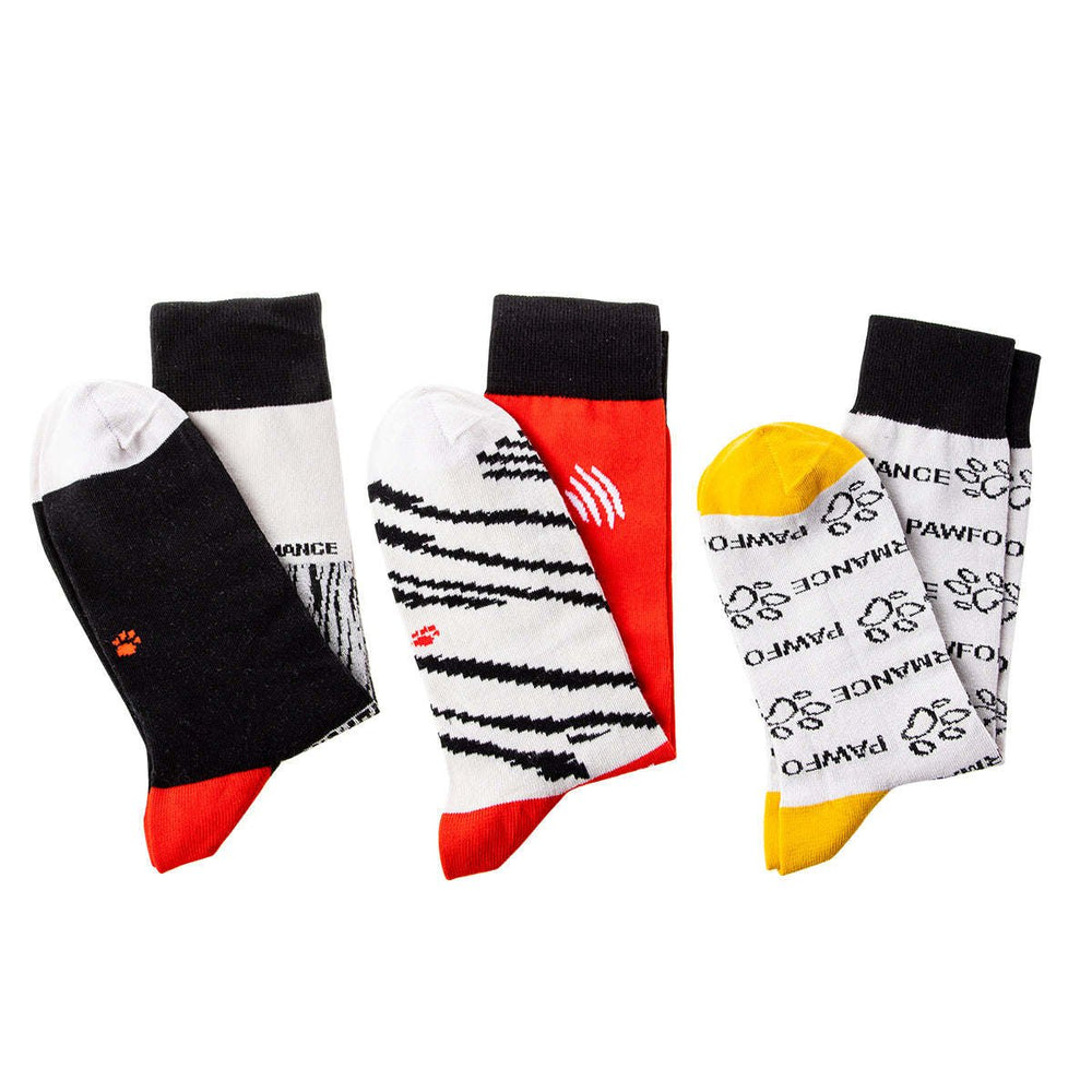 Elastic Breathable Mens Socks Set Image 2