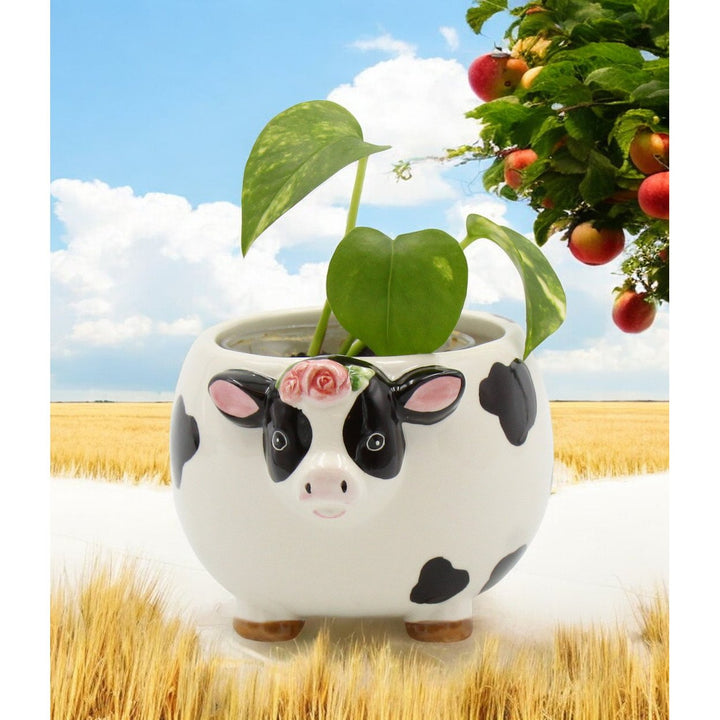 Ceramic Cow Candy Bowl Indoor Planter 5x4 Image 1