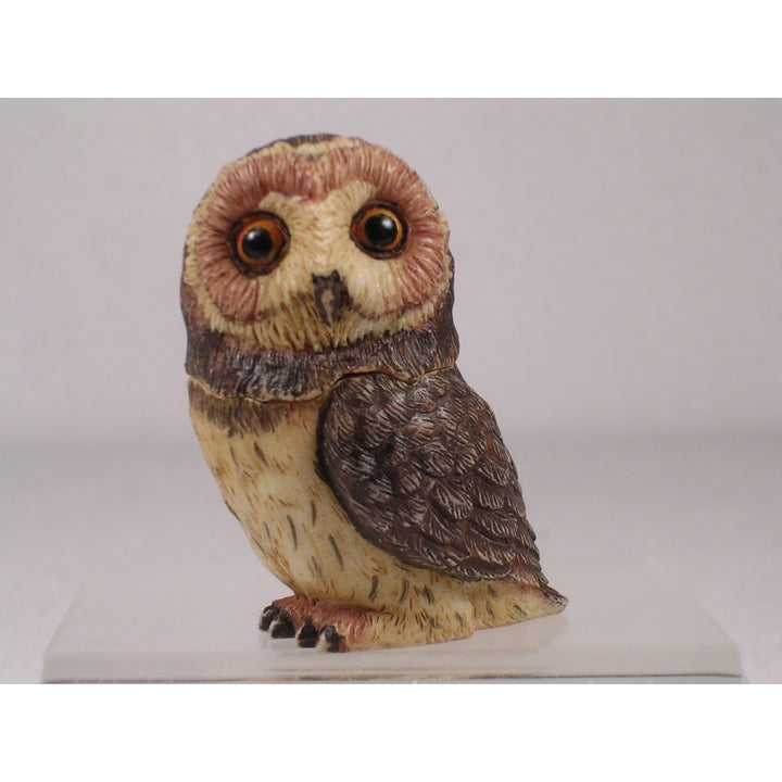 Harmony Kingdom Ball Pot Bellys / Belly Short Ear Owl - PBZOW2 - In Box Image 1