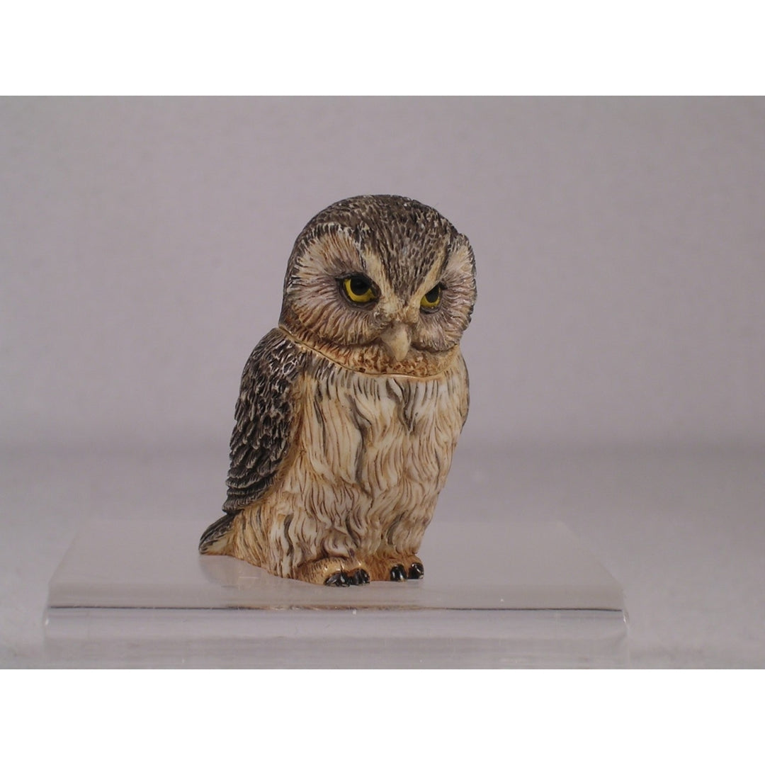 Harmony Kingdom Ball Pot Bellys / Belly Boreal Owl - PBZOW9 - In Box Image 1